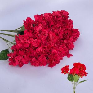 HYDRANGEAS FUSIA