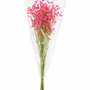 Baby's Breath Pink