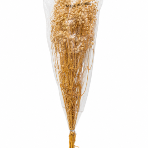 Dried Baby’s Breath