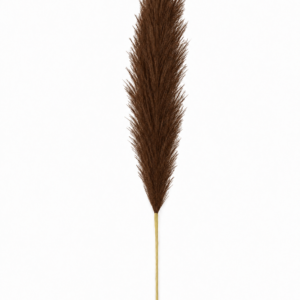 Artificial Coffee Brown Pampas Grass