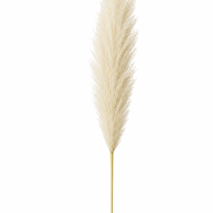 Artificial Ivory Pampas Grass Stem