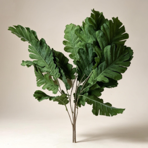 Short Stem Leave Green