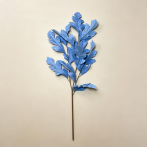Long Stem leave Blue