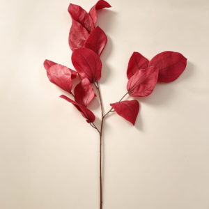 Short stem leaves Red