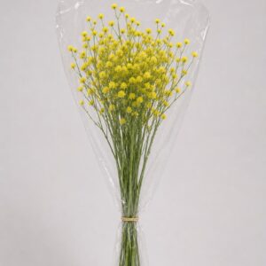 Baby's Breath Yellow
