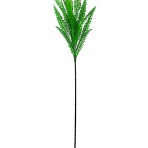 High Grade Renal Leaf