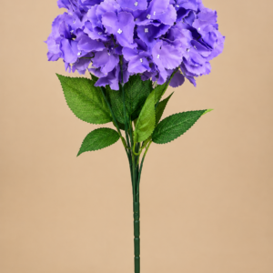 Hydrangeas Purple
