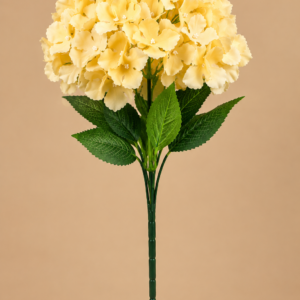 Peach Hydrangeas
