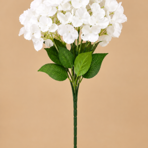 White Hydrangeas