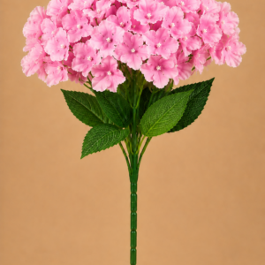 Pink Hydrangeas