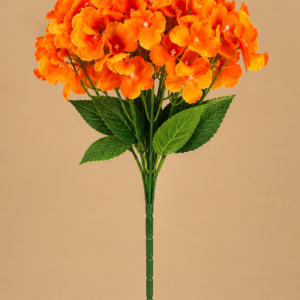 Orange Hydrangeas