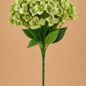 Green Hydrangeas