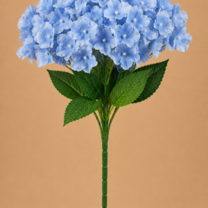 Blue Hydrangeas