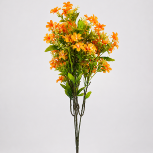 May Flower – Orange