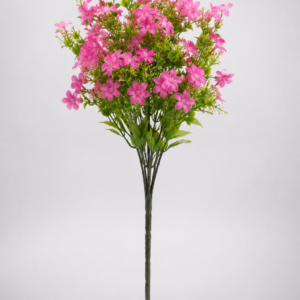 Pink May Flower