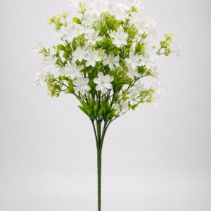 White May Flower