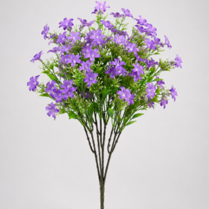 Purple May Flower