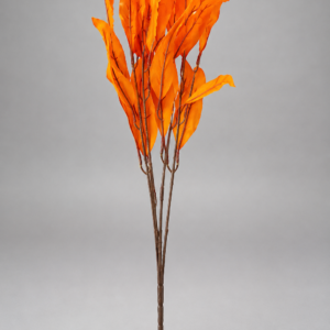 Short stem orange