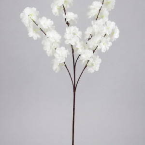 Cherry Blossom White