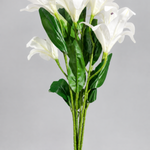 White Lily